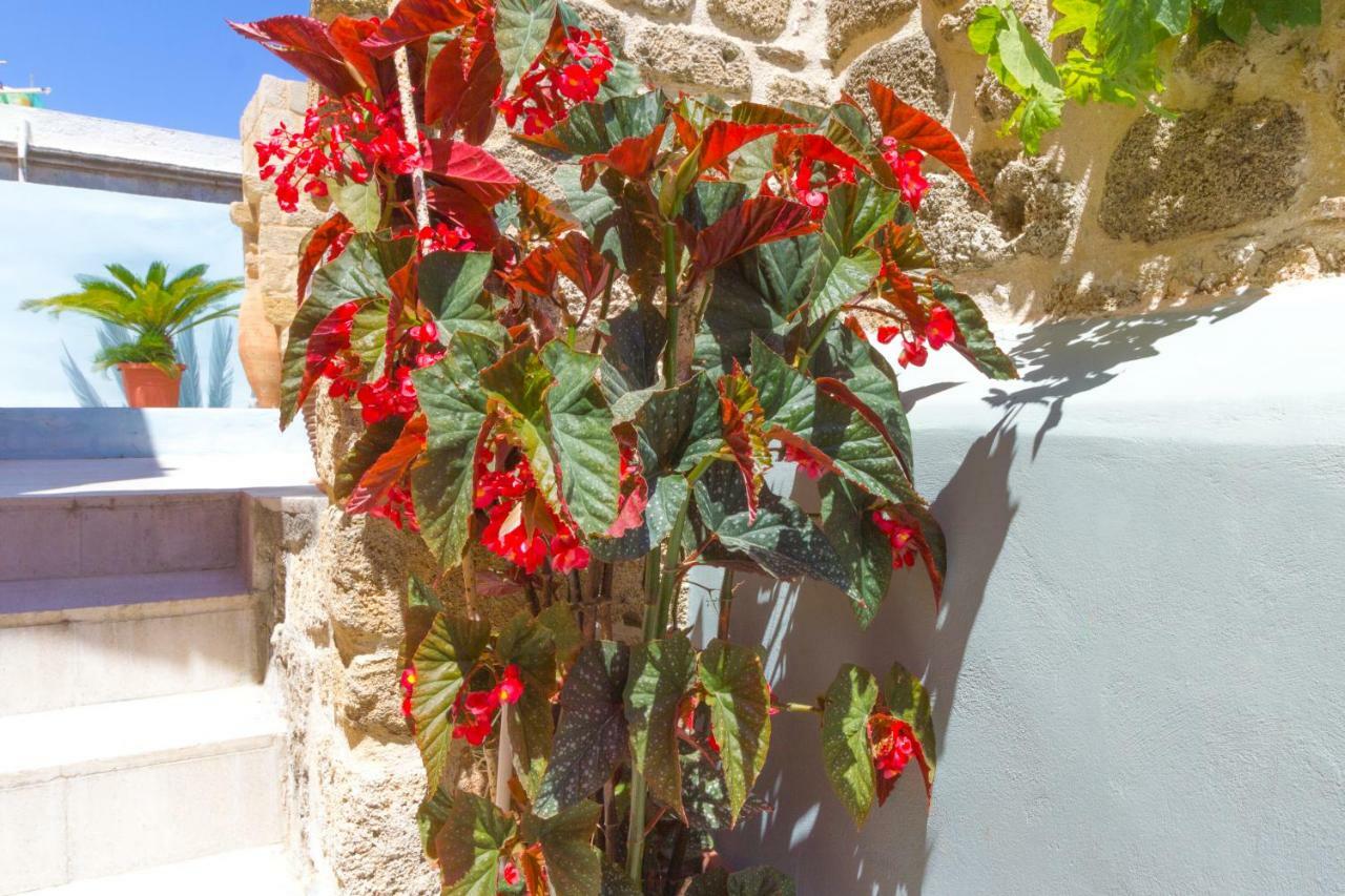 Colours - Old Town - Studios Rhodes City Extérieur photo